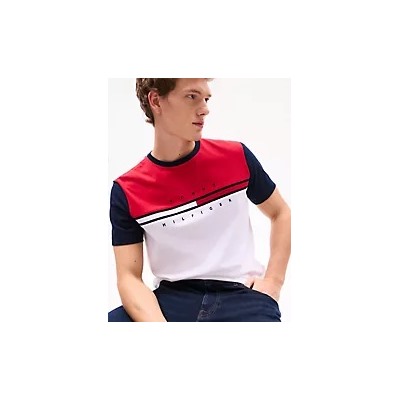 Colorblock Flag Stripe Logo T-Shirt