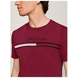 Tonal Signature Flag Logo T-Shirt