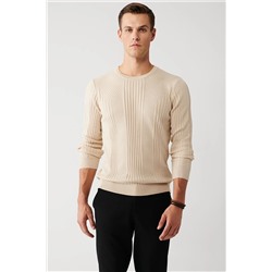 Avva Erkek Bej Bisiklet Yaka Desenli Standart Fit Normal Kesim Triko Kazak A32y5160 A32Y5160