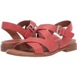 Comfortiva Devera