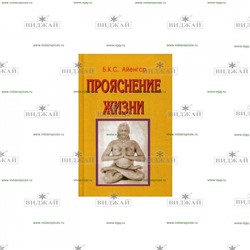 Книга Прояснение жизни