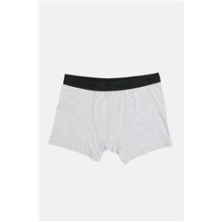 Avva Erkek Gri Düz Boxer B009505