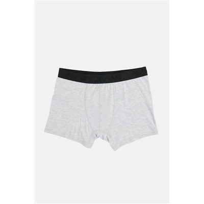 Avva Erkek Gri Düz Boxer B009505