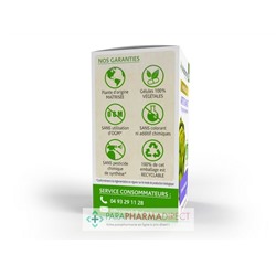 ArkoPharma ArkoGélules - Artichaut - Confort Digestif - BIO 40 gélules