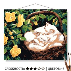 «КОТЯТА В КОРЗИНКЕ»
