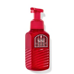 The Perfect Christmas Gentle & Clean Foaming Hand Soap