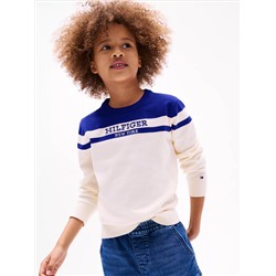 Kids' Colorblock Logo Crewneck Sweater