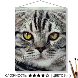 «ВИСЛОУХИЙ»