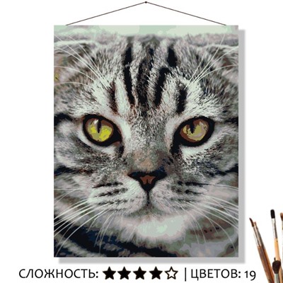 «ВИСЛОУХИЙ»