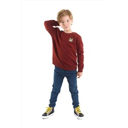 DenokidsKaplan Erkek Çocuk Sweatshirt