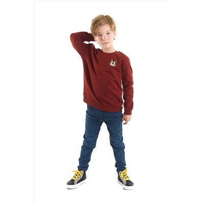 Denokids Kaplan Kalın Bordo Erkek Çocuk Sweatshirt CFF-22S1-015