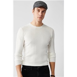 Avva Erkek Ekru Bisiklet Yaka Desenli Standart Fit Normal Kesim Triko Kazak A32y5160 A32Y5160