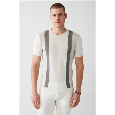 Avva Erkek Ekru Bisiklet Yaka Renk Bloklu Ribanalı Standart Fit Normal Kesim Triko T-shirt A31y5118 A31Y5118