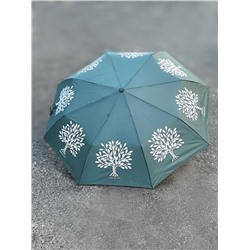 J.S Ondo Arbol (360) MENTA