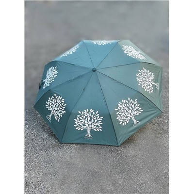 J.S Ondo Arbol (360) MENTA