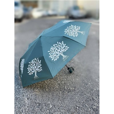 J.S Ondo Arbol (360) MENTA