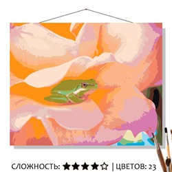 «ЛЯГУШКА В ЦВЕТОЧКЕ»