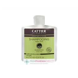 Cattier Shampooing Argile Verte Cuir Chevelu Gras BIO 250ml