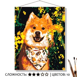 «ТОДДИ»
