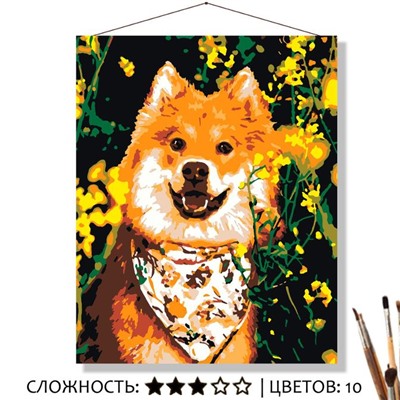 «ТОДДИ»