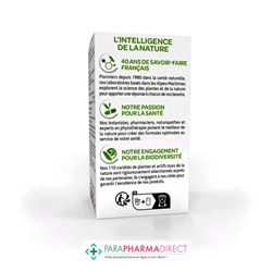 ArkoPharma ArkoGélules - Desmodium - Protecteur Hépatique - 45 gélules