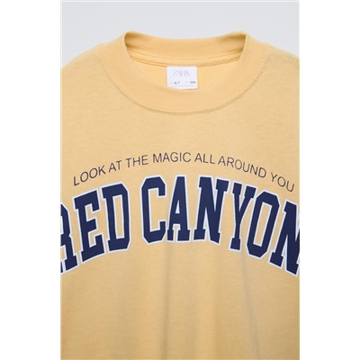 VARSITY T-SHIRT