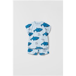 CONJUNTO TIBURONES