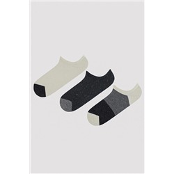 Penti, Erkek Puantiyeli 3lü Sneaker Çorap