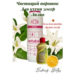 Чистящий порошок  Цветочный для кухни и ванной 500 мг + плюс гель для мытья посуды лимон 100гр