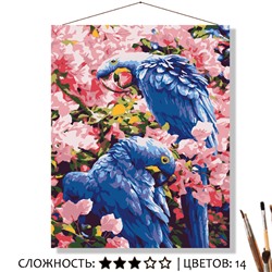 «СИНИЕ ПОПУГАИ»