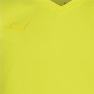 PUMA  PUMA teamFLASH Kinder Trikot 704395-23