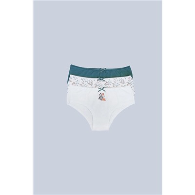 Pierre Cardin3'lü Ekonomik Paket Tale 2703 Pamuklu Basic Hipster Külot