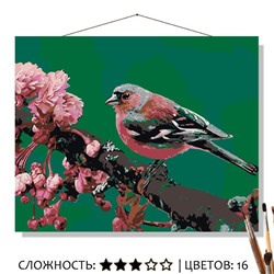 «ЗАРЯНКА»