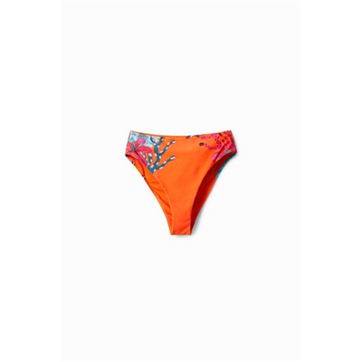 Braguita bikini corales