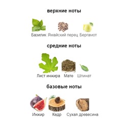 ATELIER MATERI CEDRE FIGALIA edp 100ml + стоимость флакона