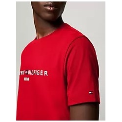 Tommy Logo T-Shirt