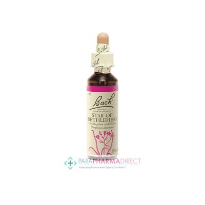 Fleurs de Bach Star of Bethlehem (étoile de Béthlehem) Paix, réconfort, consolation 20ml
