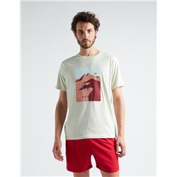 Egypt Printed T-shirt, Men, Light Green