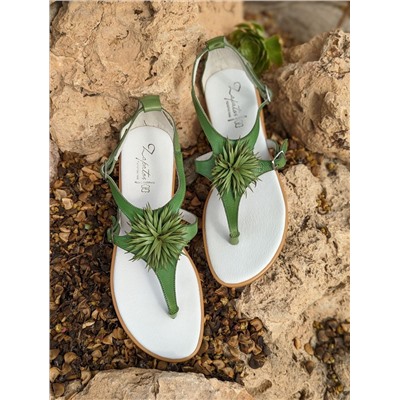 ZAPATOS 2726TG MANZANA+Pelle 2704 pistacho