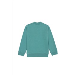 Erkek Çocuk Mint Sweatshirt