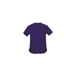 Dickies EDS Signature Scrubs Classic Fit V-Neck Top
