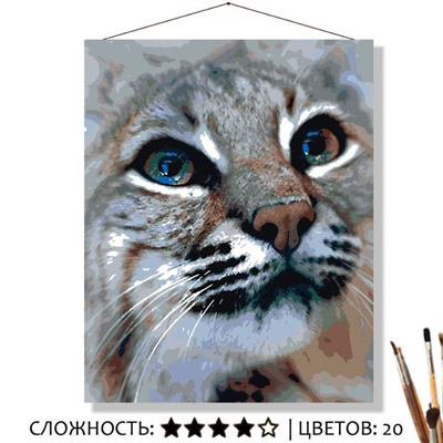 «МОРДОЧКА РЫСИ»