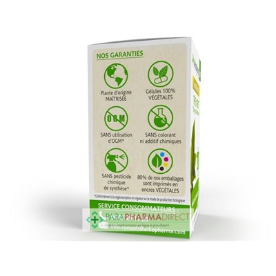 ArkoPharma ArkoGélules - Thé Vert - Brûleur de Graisses - BIO 130 gélules