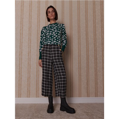 Culotte
