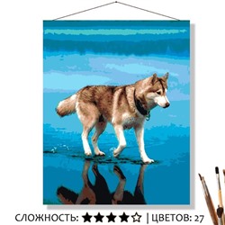 «ХАСКИ НА ВОДЕ»