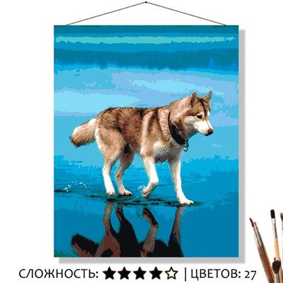 «ХАСКИ НА ВОДЕ»