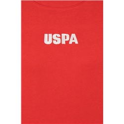 Kadın Kırmızı Bisiklet Yaka Basic Sweatshirt