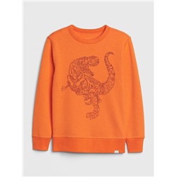 Kids Graphic Sweatshirt