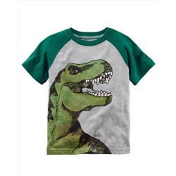 Dinosaur Raglan Tee