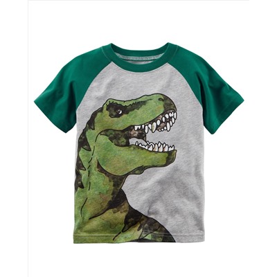 Dinosaur Raglan Tee